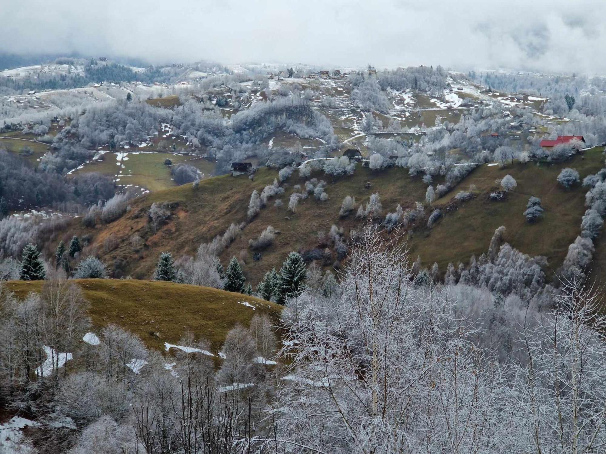 Alpine Escape Studios Măgura Exterior foto