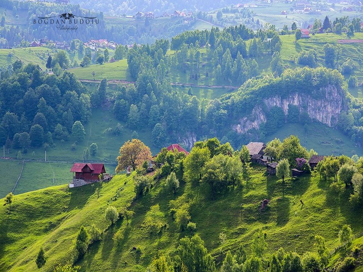 Alpine Escape Studios Măgura Exterior foto