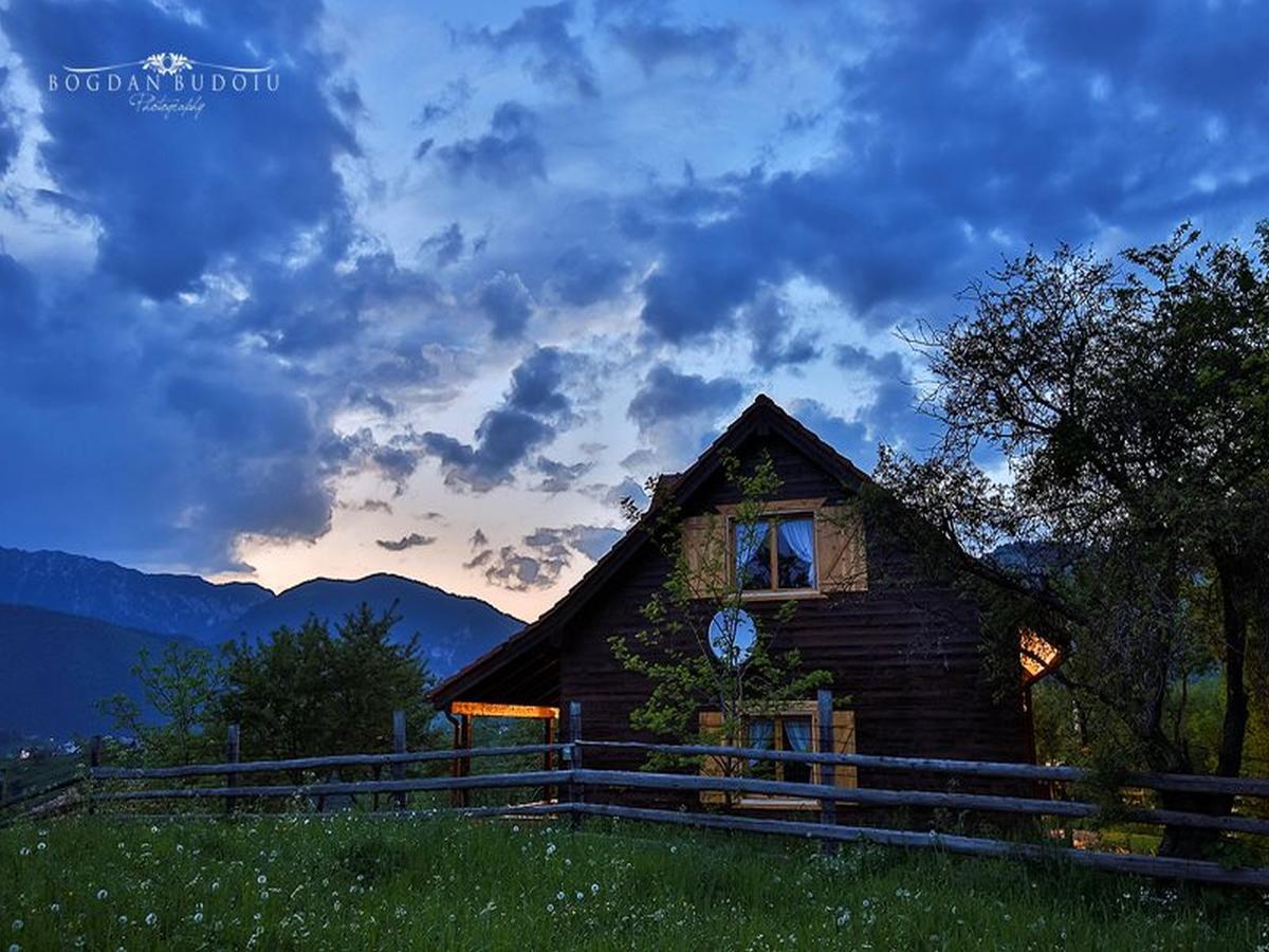Alpine Escape Studios Măgura Exterior foto