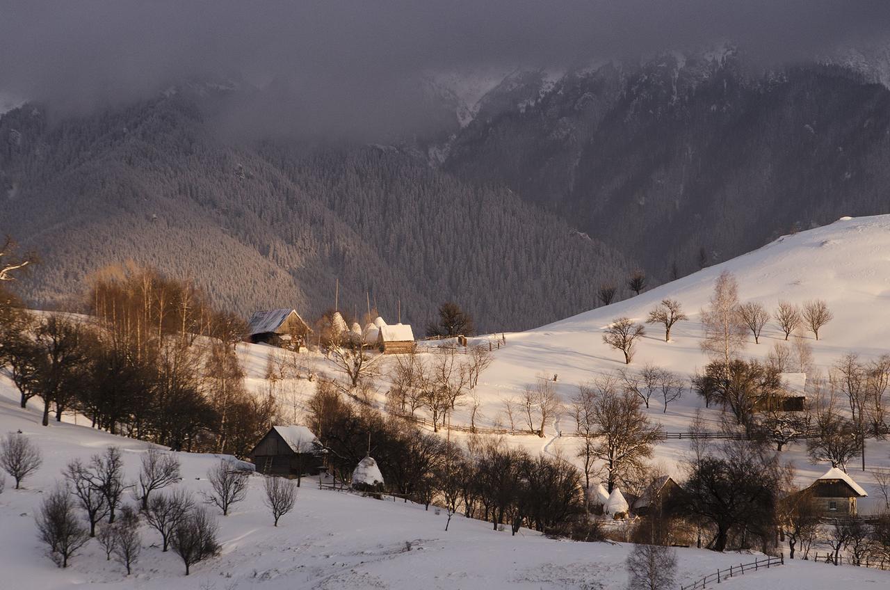 Alpine Escape Studios Măgura Exterior foto